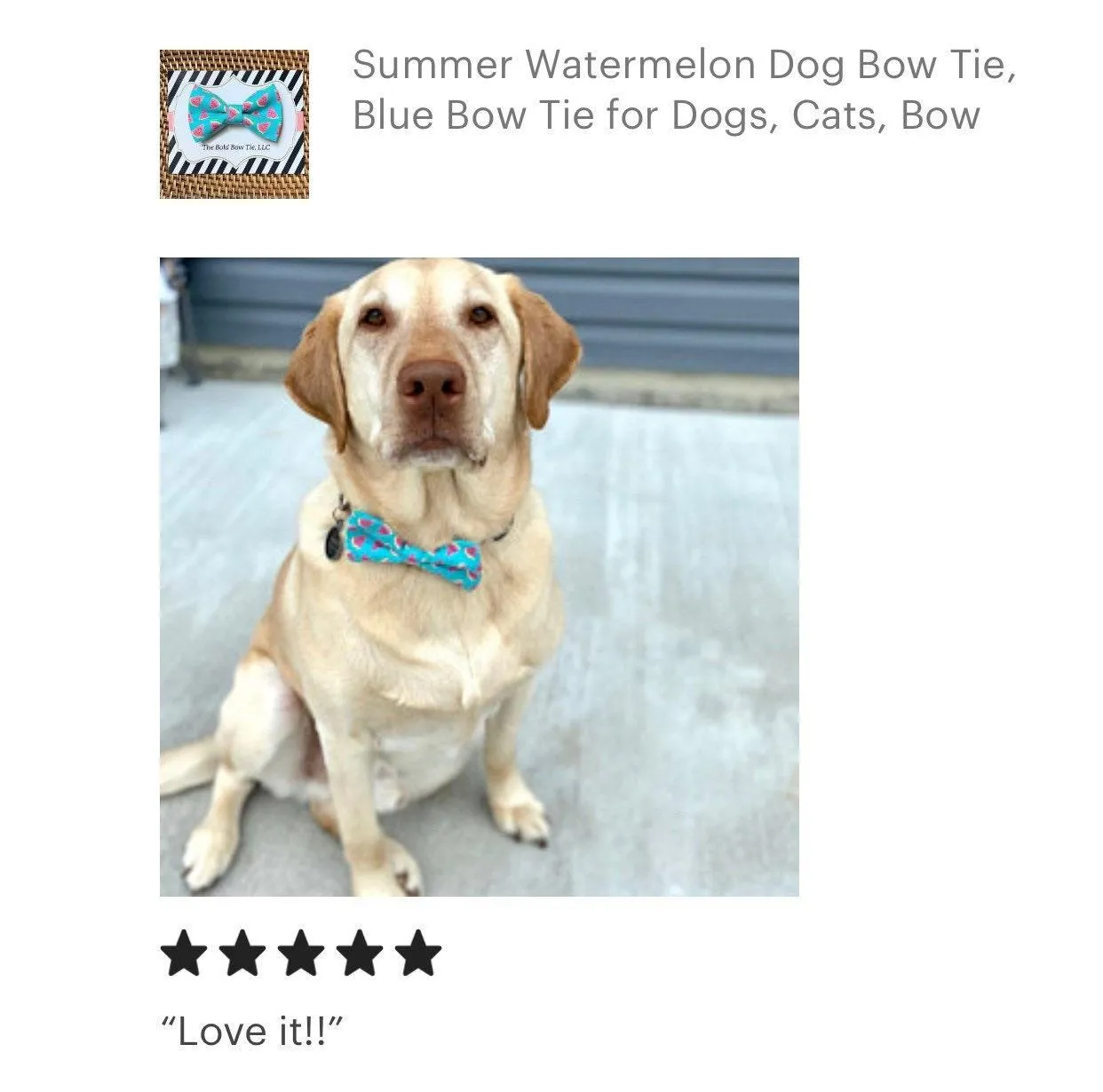 Blue Watermelon Dog Bow Tie for Dog and Cat Collar